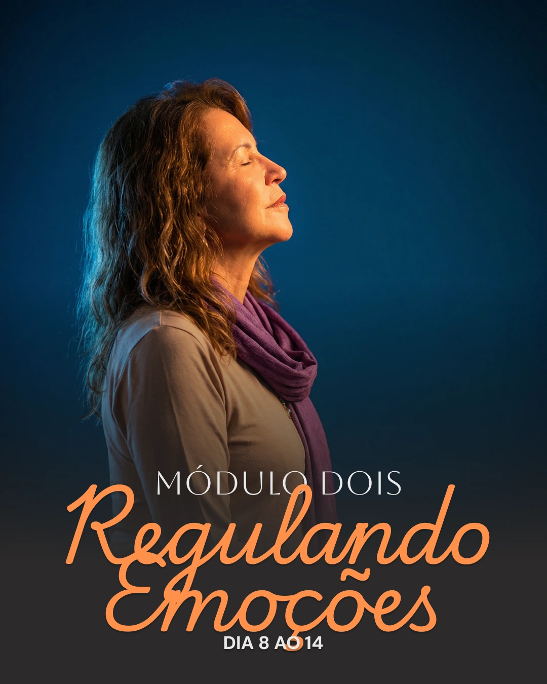3-Modulo-Dois-Regulando-Emocoes.webp